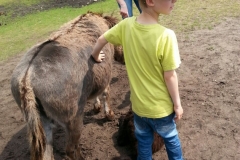 20150627_KFWestenSerengeti05_hoefken