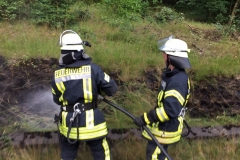 20150710_Bahndammbrand01_Bomhoff