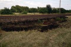 20150714_FlaechenbrandWahnebergen01_feuerwehr