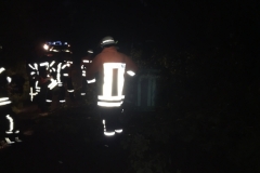 20150803_BaumaufStrasse02_Bomhoff
