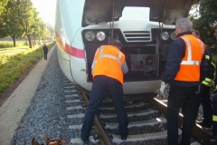 20151010_Zugliegengeblieben06_Bomhoff