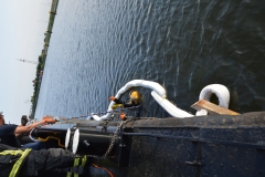 20160517_Oel2_Doerverden_Schleusenkanal_Hoefken48