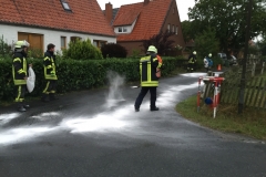 20160811_OelspurBarme01_bomhoff