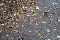 20161021_OrientierungsmarschBarme01_Pielhau