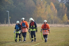 20161112_TM_Doerverden_Hoefken028