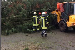 20180118_SturmeinsatzWesten01_Bodenstab