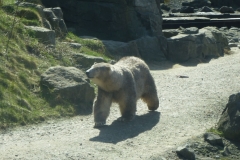 20180407_KinderfeuerwehrDoerverdenZoo05_hermannn