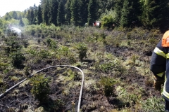 20180508_Waldbrand_01_Degener