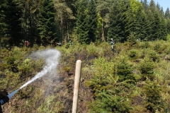 20180508_Waldbrand_02_Degener
