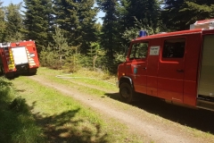 20180508_Waldbrand_04_Hassel