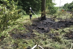 20180525_Bahndammbraende_02_Bomhoff