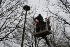 202100306_Storchennest1 Volker Schnabel