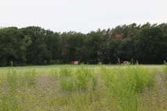 20210623_WBUebung_03_Bomhoff