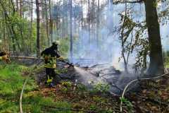 20220514_Flaechenbrand2_01_thoelke