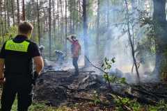 20220514_Flaechenbrand2_02_thoelke