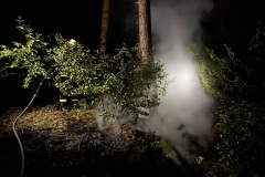 20220723_Waldnrand_02_Bomhoff