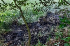 20230608_Flächenbrand_Konschak