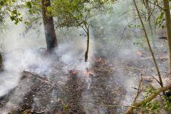 20230610_FWald1_Krause_01