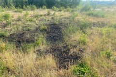 20230610_FWald1_Krause_02