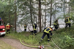 20230620_Waldnrand_01_Bomhoff