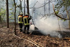 20230620_Waldnrand_02_Bomhoff