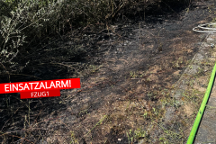 20250511BahndammReinhardt001