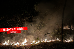 20250511FWaldReinhardt001