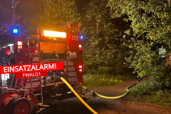 20250511FWaldReinhardt002