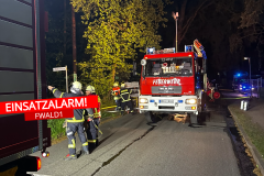 20250511FWaldReinhardt003