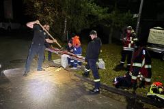 20251031_Orimarsch_02_KLook