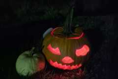 20251031_Orimarsch_03_KLook