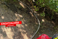 feuerwehr-einsatz-fflaeche1-alte-furt-doerverden-2026-07-08