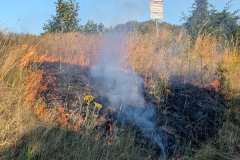 feuerwehr-einsatz-fflaeche1-1-1