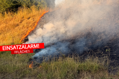 feuerwehr-einsatz-fflaeche1-2-1