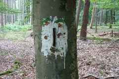 08_20250904_173326_resized_1