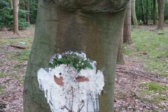 09_20250904_173229_resized_1