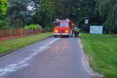 IMG-20210815-WA0002