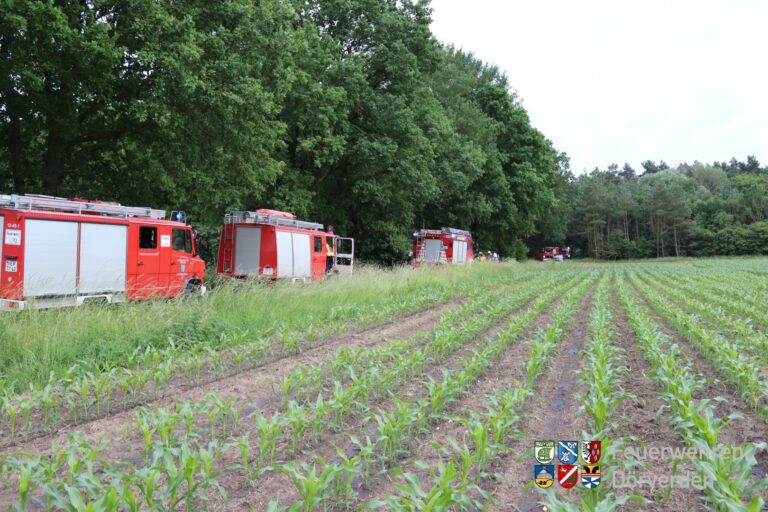 Proben für den Ernstfall