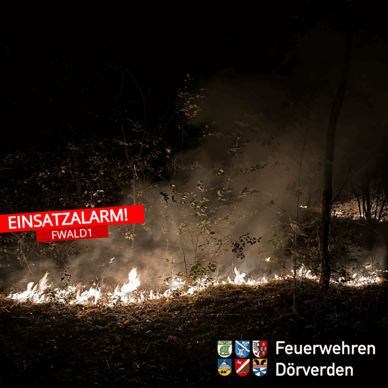 Feuer am Waldspielplatz – aufwendiger Löscheinsatz im Waldgebiet