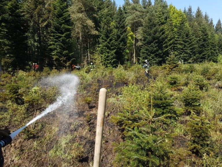 Waldbrand